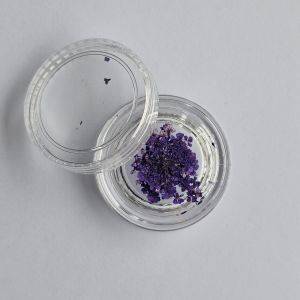 Fleurs séchées - Dark Violet