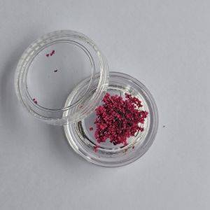 Fleurs séchées - Rose Framboise