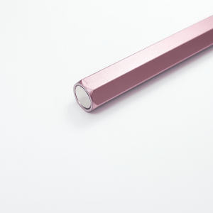 Magnet Aimant Simple Rose