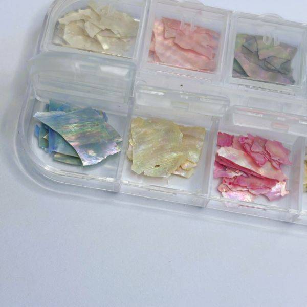 Palette Nacre - Shell Pastel – Image 2