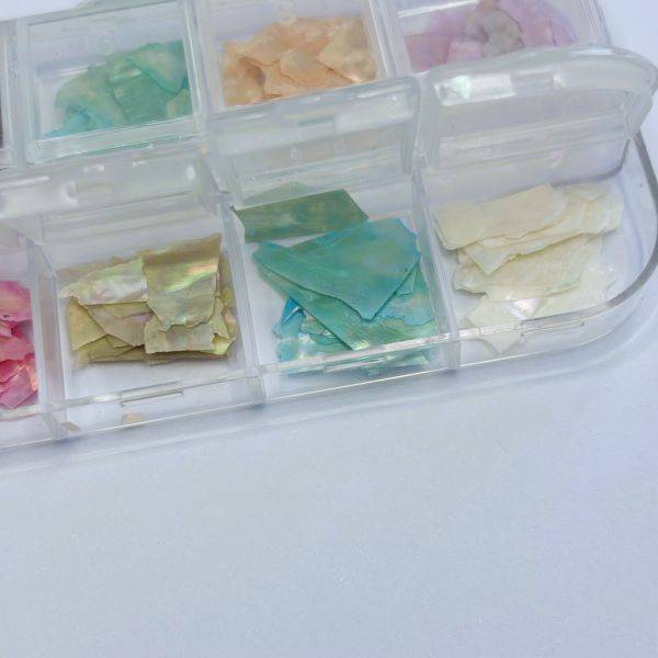 Palette Nacre - Shell Pastel – Image 3
