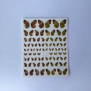Stickers Nail Art - Papillon (6)