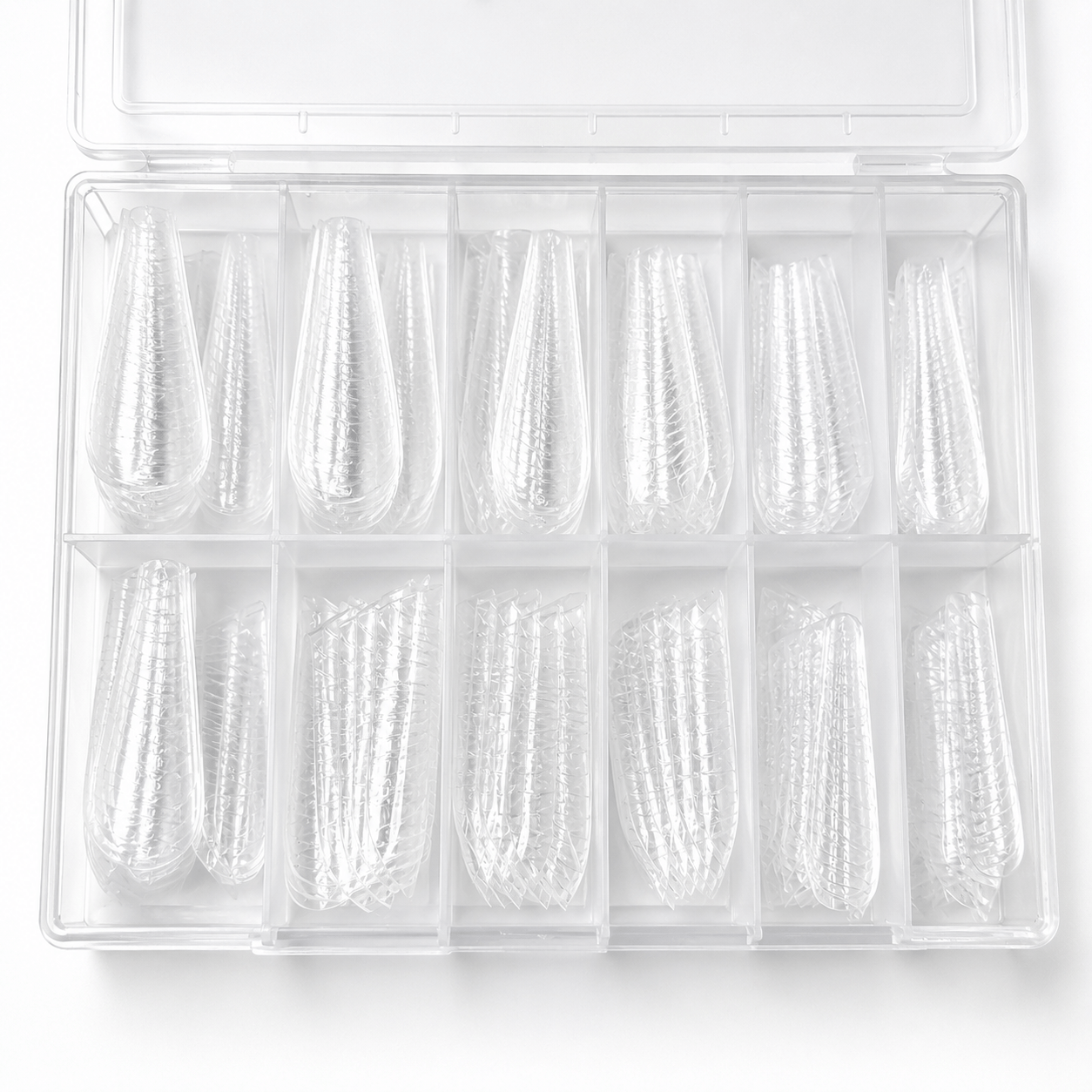 Popit Zebra – Image 2